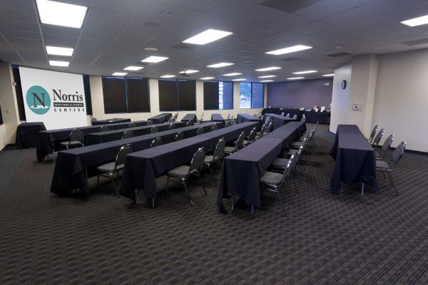 Meeting at Norris Centers Houston/Westchase, set classroom style with ergonomic chairs